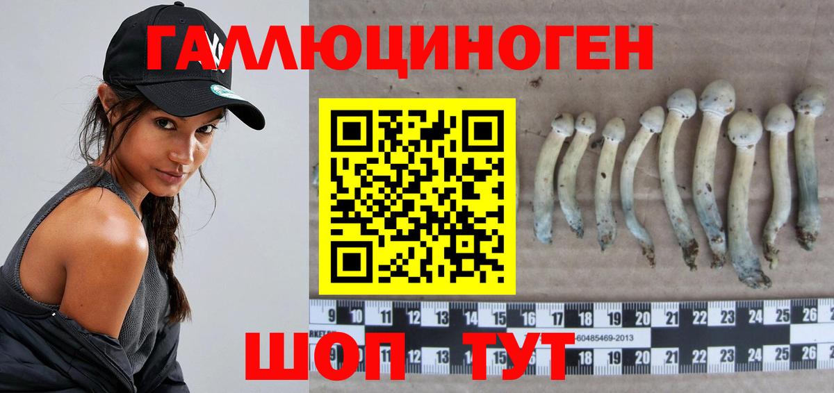 Купить наркотик  Гашиш  A PVP СОЛЬ кристаллы  Бошки Шишки  Киреевск  MDMA  Экстази  АМФЕТАМИН кристаллы  Вход с VPN  Меф МЯУ МЯУ кристаллы 